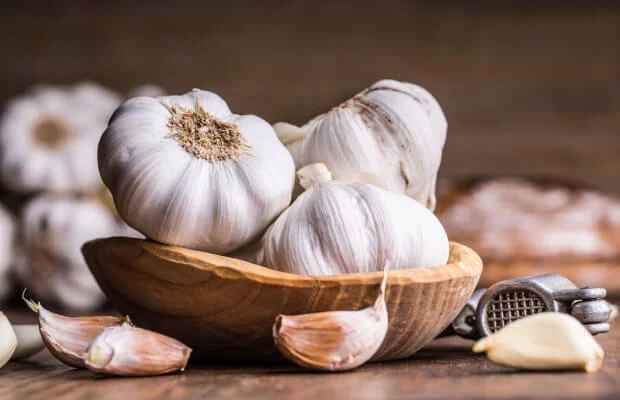 Aged Garlic Extract: A Natural Boost for Gum Health and Healing