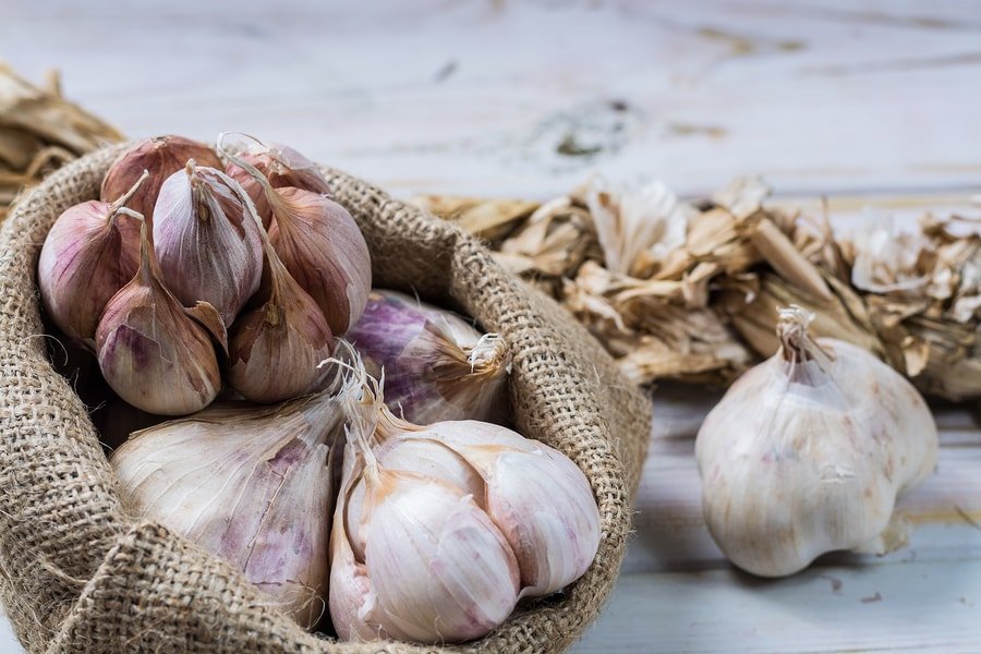 Beyond Blood Pressure: How Aged Garlic Extract Boosts Metabolic Health