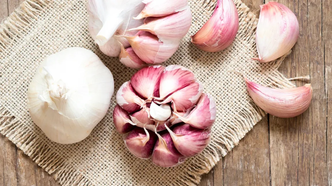 How S‑Allylcysteine (SAC) in Aged Garlic Extract Boosts Heart Health and Endurance
